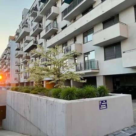 Joy Mara M2-38 Timisoara